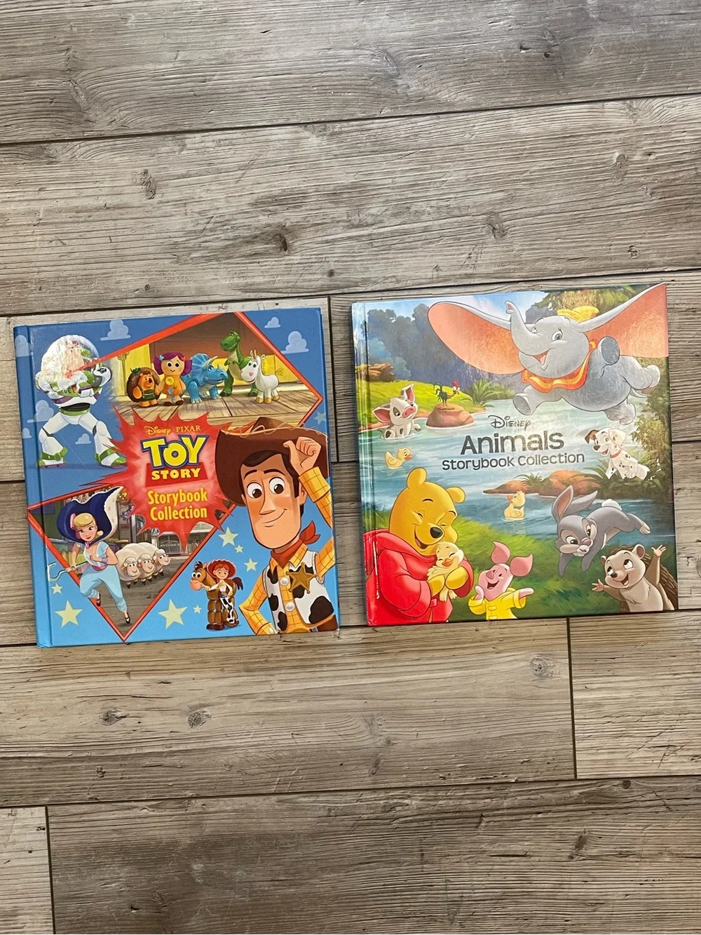 Disney | Disney Pixar Toy Story and Animal Storybook Collection | Set of 2